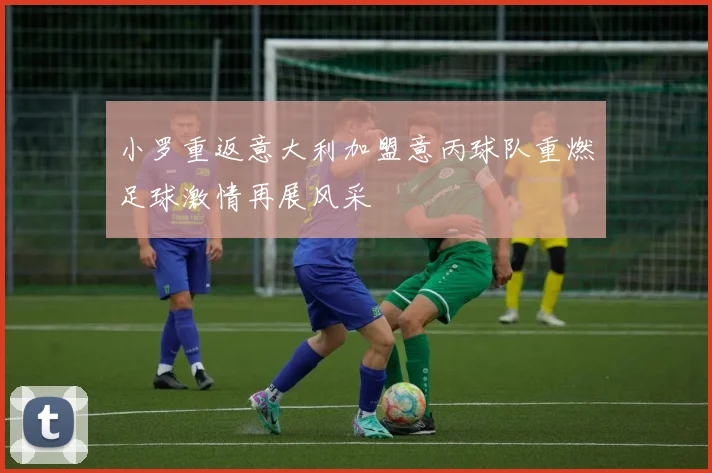 小罗重返意大利加盟意丙球队重燃足球激情再展风采
